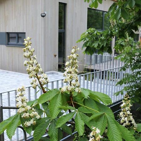Ferienwohnung Klemmbachidyll Badenweiler Exterior foto
